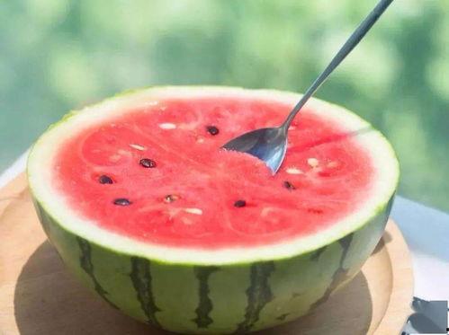 吃瓜网官网免费观看